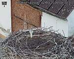 Capi_Dubne_20261002_083003.jpg