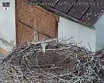 Capi_Dubne_20261002_095003.jpg