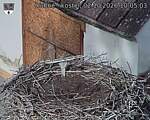 Capi_Dubne_20261002_100503.jpg