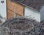 Capi_Dubne_20261002_144003.jpg