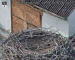 Capi_Dubne_20261002_163003.jpg