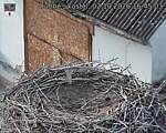 Capi_Dubne_20261002_164503.jpg