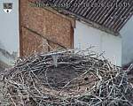 Capi_Dubne_20261002_171005.jpg