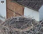 Capi_Dubne_20261002_175003.jpg