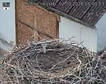 Capi_Dubne_20261002_180003.jpg