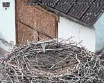 Capi_Dubne_20261002_185003.jpg
