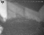 Capi_Dubne_20261002_194508.jpg