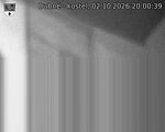 Capi_Dubne_20261002_200039.jpg