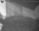 Capi_Dubne_20261002_204110.jpg