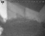 Capi_Dubne_20261002_211218.jpg