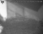Capi_Dubne_20261002_235006.jpg