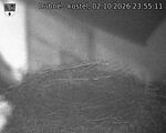 Capi_Dubne_20261002_235511.jpg