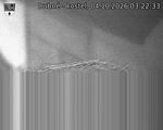 Capi_Dubne_20261004_032233.jpg