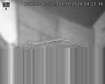 Capi_Dubne_20261004_042236.jpg