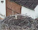 Capi_Dubne_20261004_072003.jpg