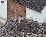 Capi_Dubne_20261004_072503.jpg