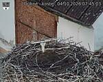 Capi_Dubne_20261004_074503.jpg