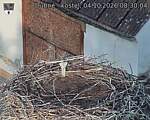 Capi_Dubne_20261004_083004.jpg