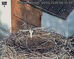 Capi_Dubne_20261004_083504.jpg