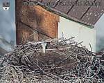 Capi_Dubne_20261004_090503.jpg