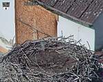 Capi_Dubne_20261004_115002.jpg