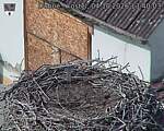 Capi_Dubne_20261004_134003.jpg