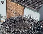 Capi_Dubne_20261004_140503.jpg