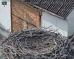 Capi_Dubne_20261004_162503.jpg