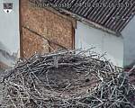 Capi_Dubne_20261004_163003.jpg