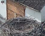Capi_Dubne_20261004_163504.jpg