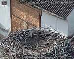 Capi_Dubne_20261004_164004.jpg