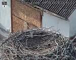 Capi_Dubne_20261004_164502.jpg