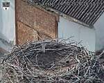 Capi_Dubne_20261004_165003.jpg