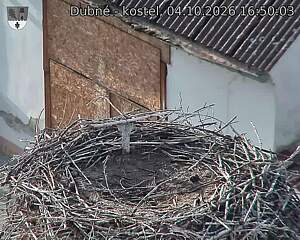preload