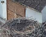 Capi_Dubne_20261004_165502.jpg