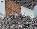 Capi_Dubne_20261004_181004.jpg