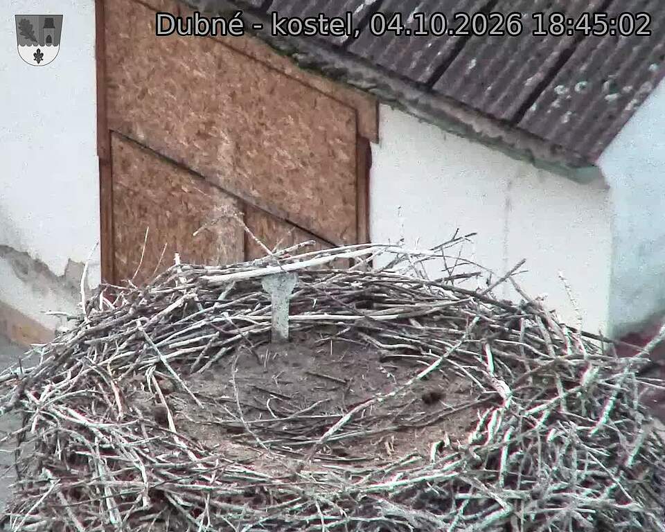 Capi_Dubne_20261004_184502.jpg (1350&nbsp;x&nbsp;1080)