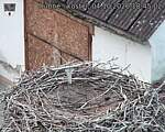 Capi_Dubne_20261004_184502.jpg