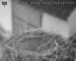 Capi_Dubne_20261004_185503.jpg
