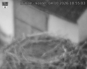 Capi_Dubne_20261004_185503.jpg (1350&nbsp;x&nbsp;1080)