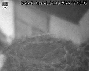 Capi_Dubne_20261004_190503.jpg (1350&nbsp;x&nbsp;1080)