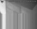 Capi_Dubne_20261005_041142.jpg