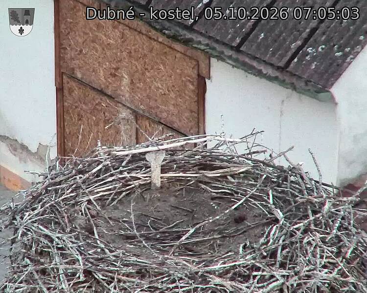 preload