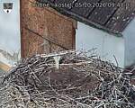 Capi_Dubne_20261005_094003.jpg