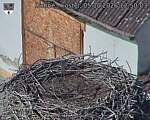 Capi_Dubne_20261005_125003.jpg