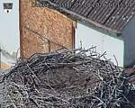 Capi_Dubne_20261005_131504.jpg