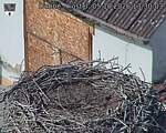 Capi_Dubne_20261005_133004.jpg