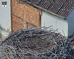 Capi_Dubne_20261005_135504.jpg