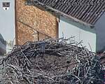 Capi_Dubne_20261005_144002.jpg