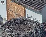 Capi_Dubne_20261005_144504.jpg
